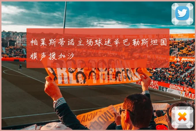 帕莱斯蒂诺主场球迷举巴勒斯坦国旗声援加沙
