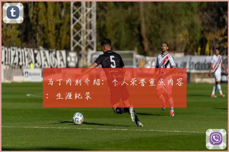 马丁内利介绍：个人荣誉重点内容：生涯纪录