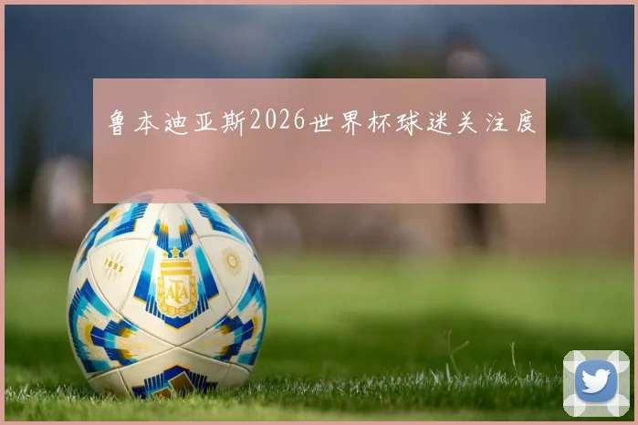 鲁本迪亚斯2026世界杯球迷关注度