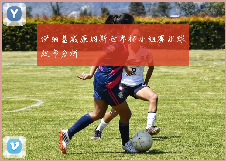 伊纳基威廉姆斯世界杯小组赛进球效率分析